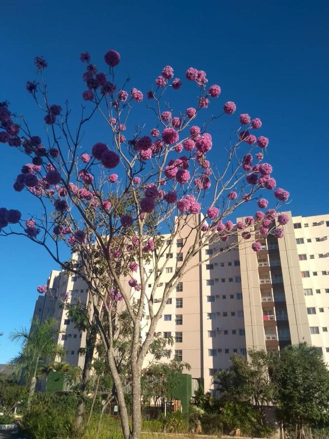 Apartamento Ecologic Park Caldas Novas Eksteriør billede